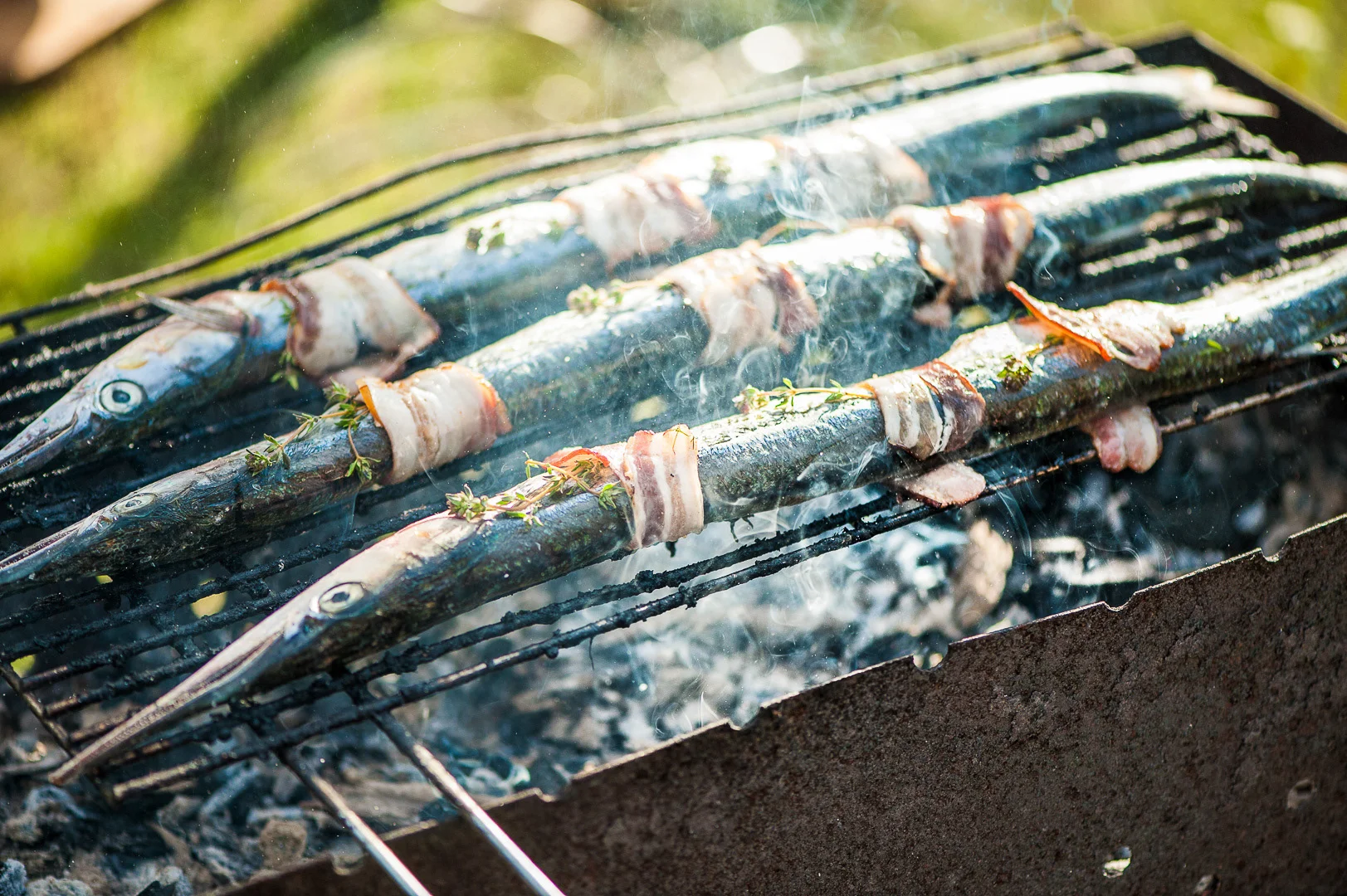 Grilled Meat Dishes, Summer Culinary Photography – Commercial Food Photography