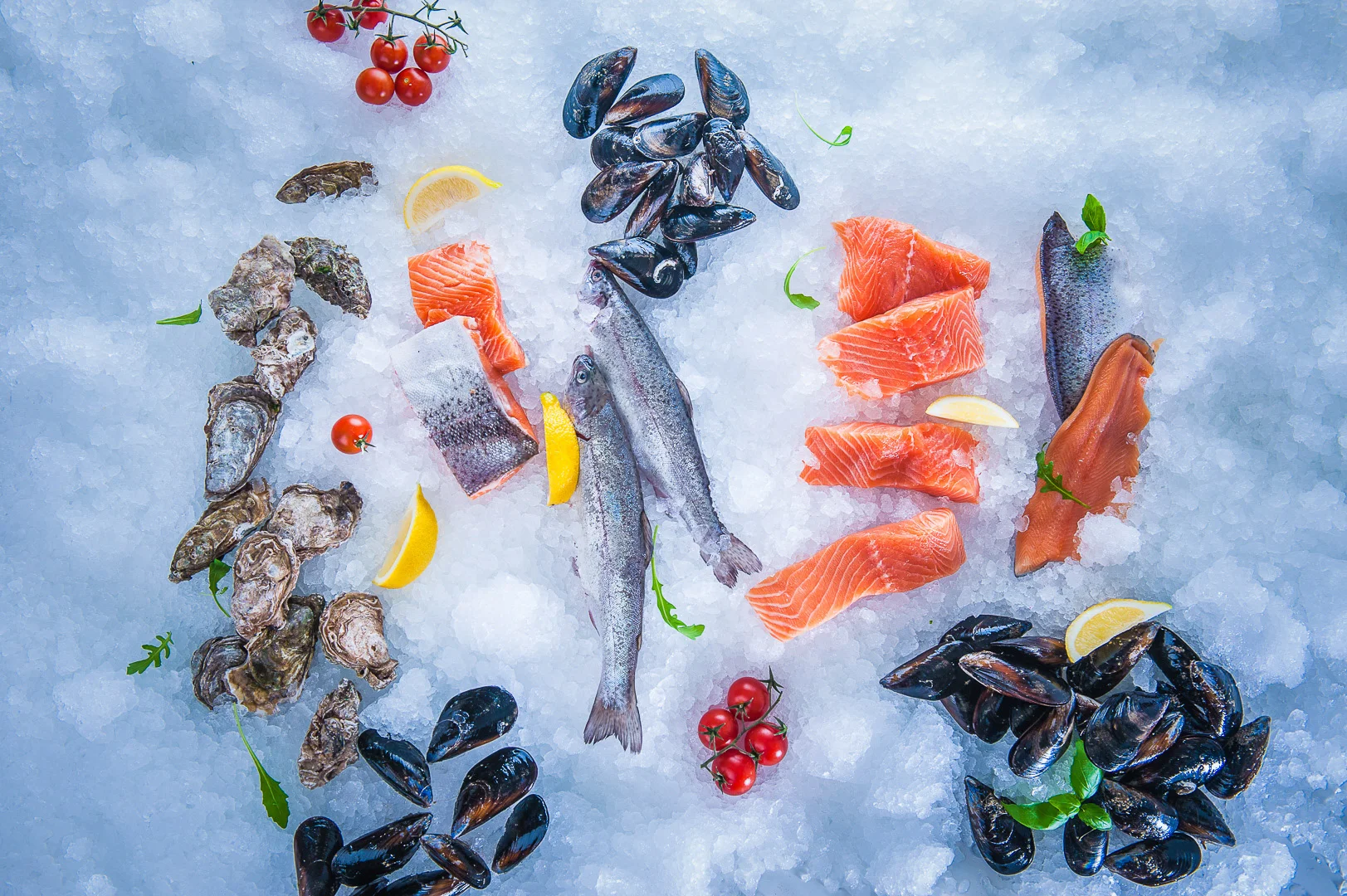 Red Fish on Ice, Food Photography – Commercial Food Photography