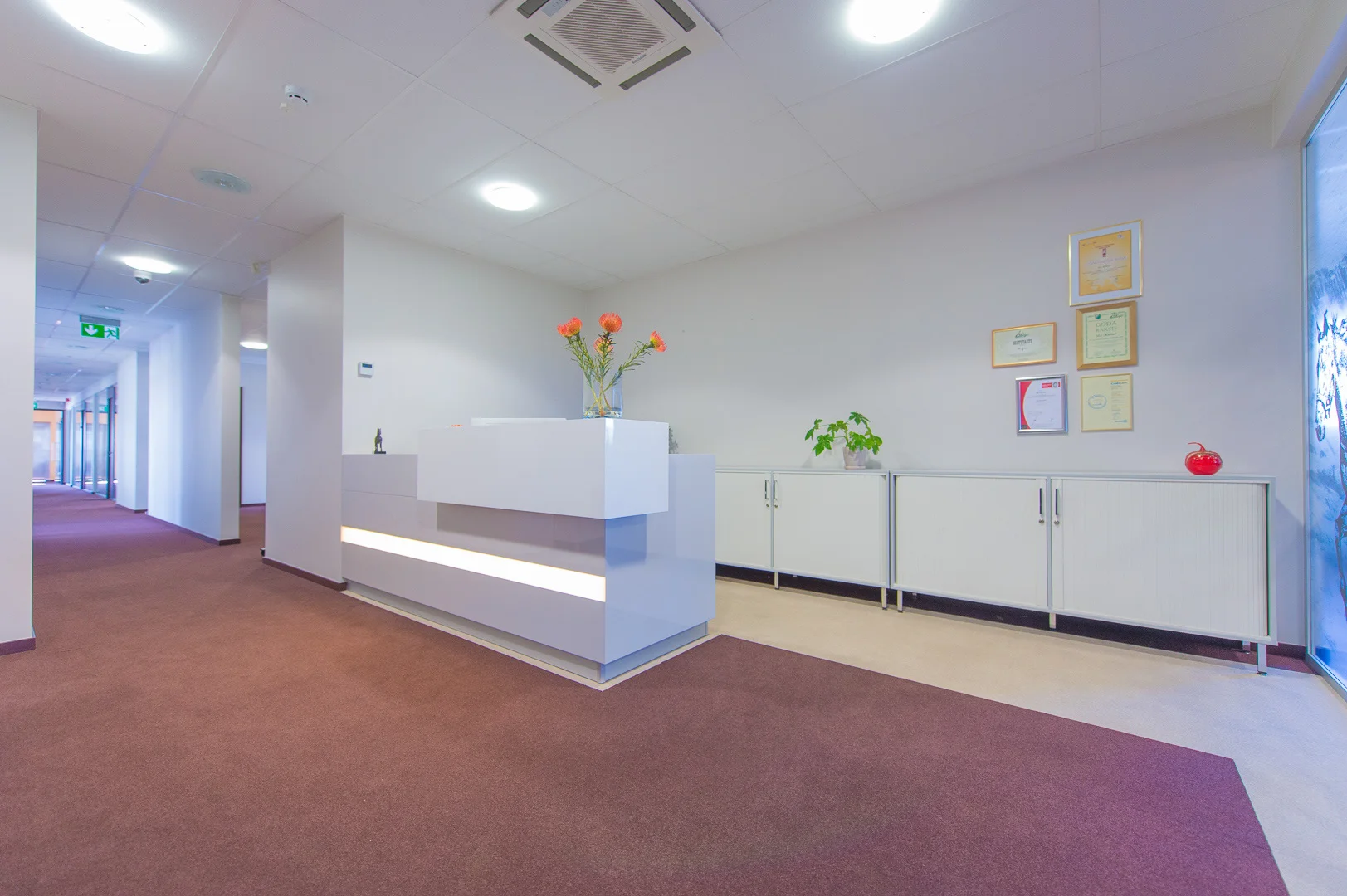 Dark Floor and Wall Opening – Interior Photography Portfolio