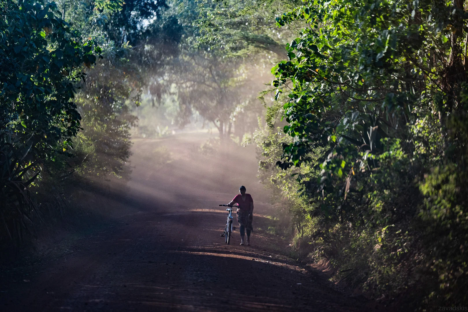 Man with Bicycle in Countryside – Editorial Travel Image