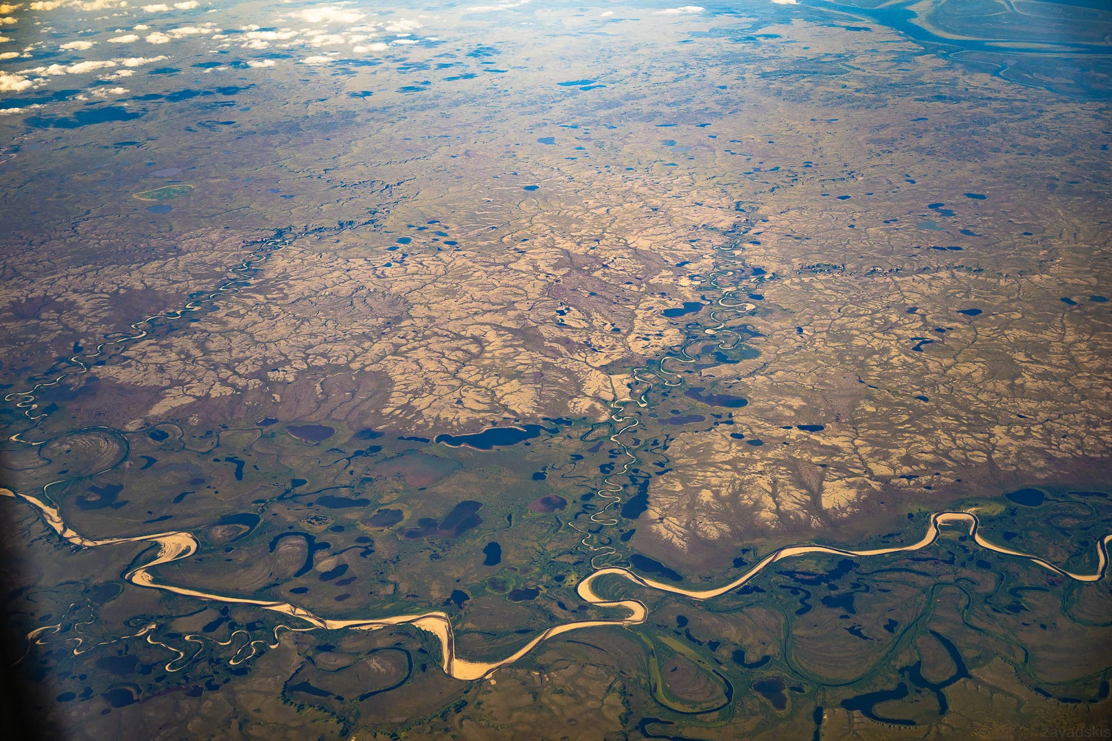 Aerial View of Yellow Fields and Forests – Travel Photography Portfolio