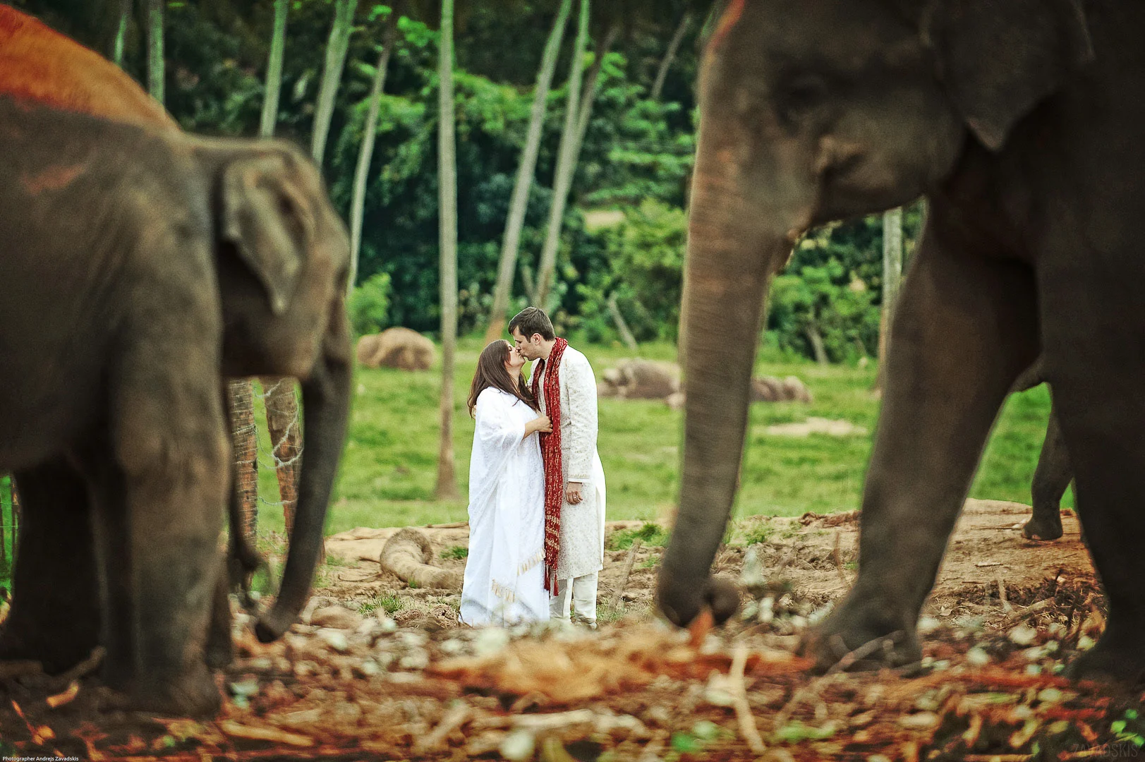 Wedding Photograph: Happy Couple in Garden – Wedding Storytelling Portfolio