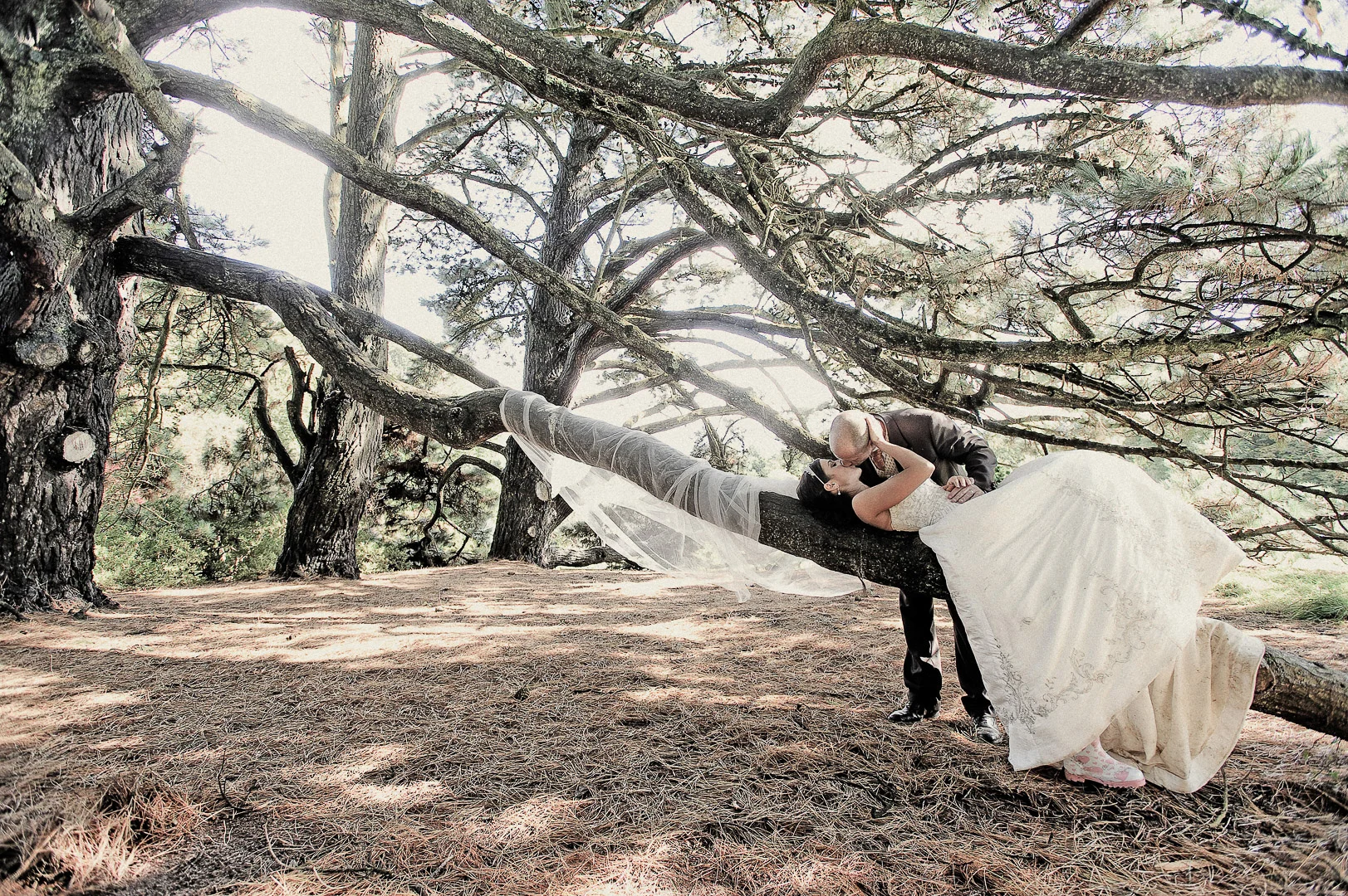 Wedding Photograph: Happy Couple in Garden, Candid Moment – Bride and Groom Photography