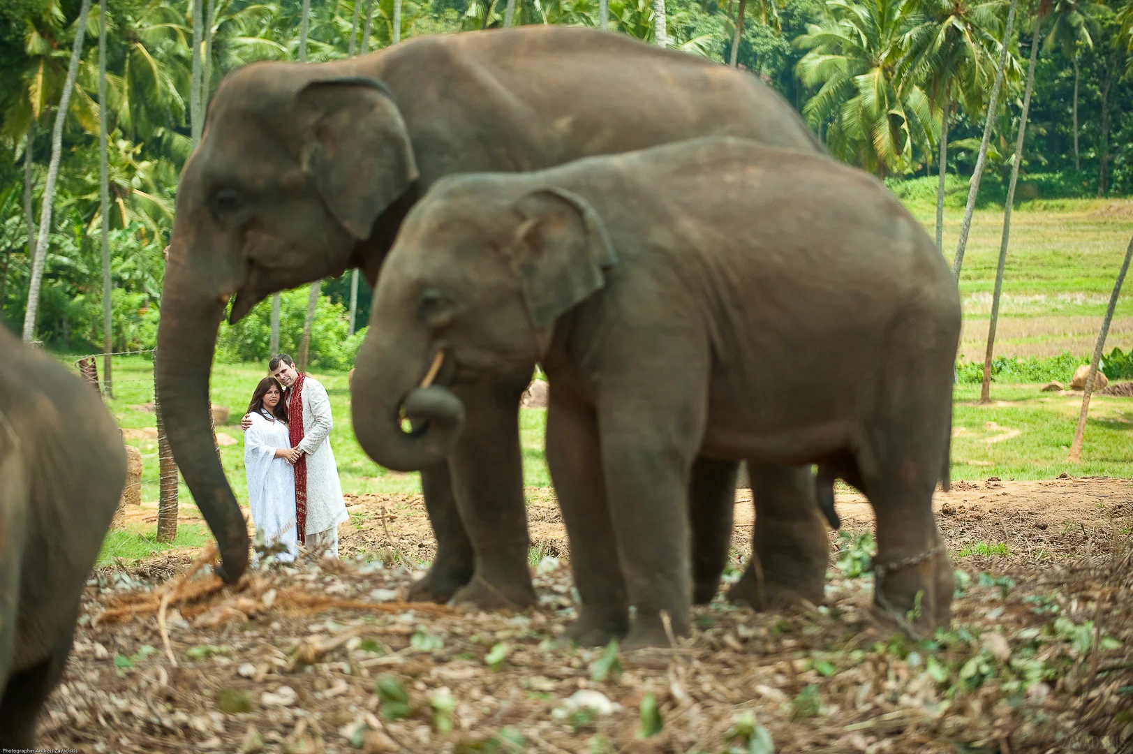 Wedding Photographer: Happy Couple in Garden – Wedding Photography Portfolio