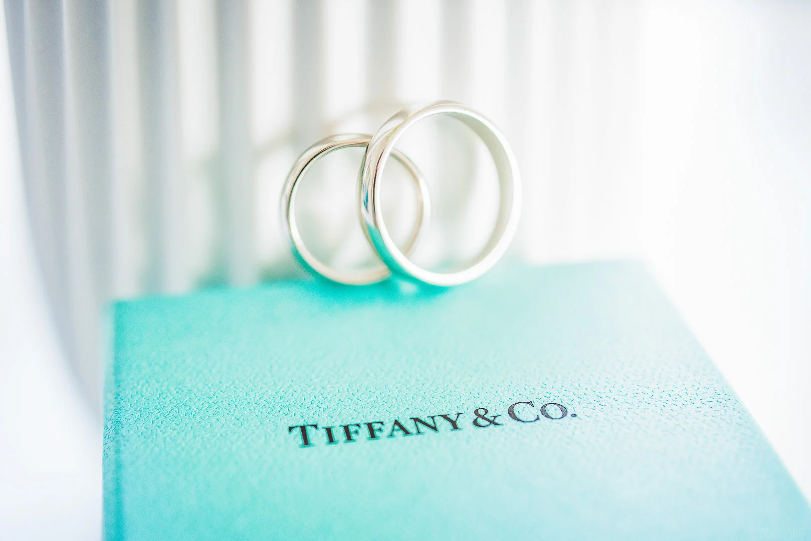 Wedding Rings, Close-Up – Couple Photography
