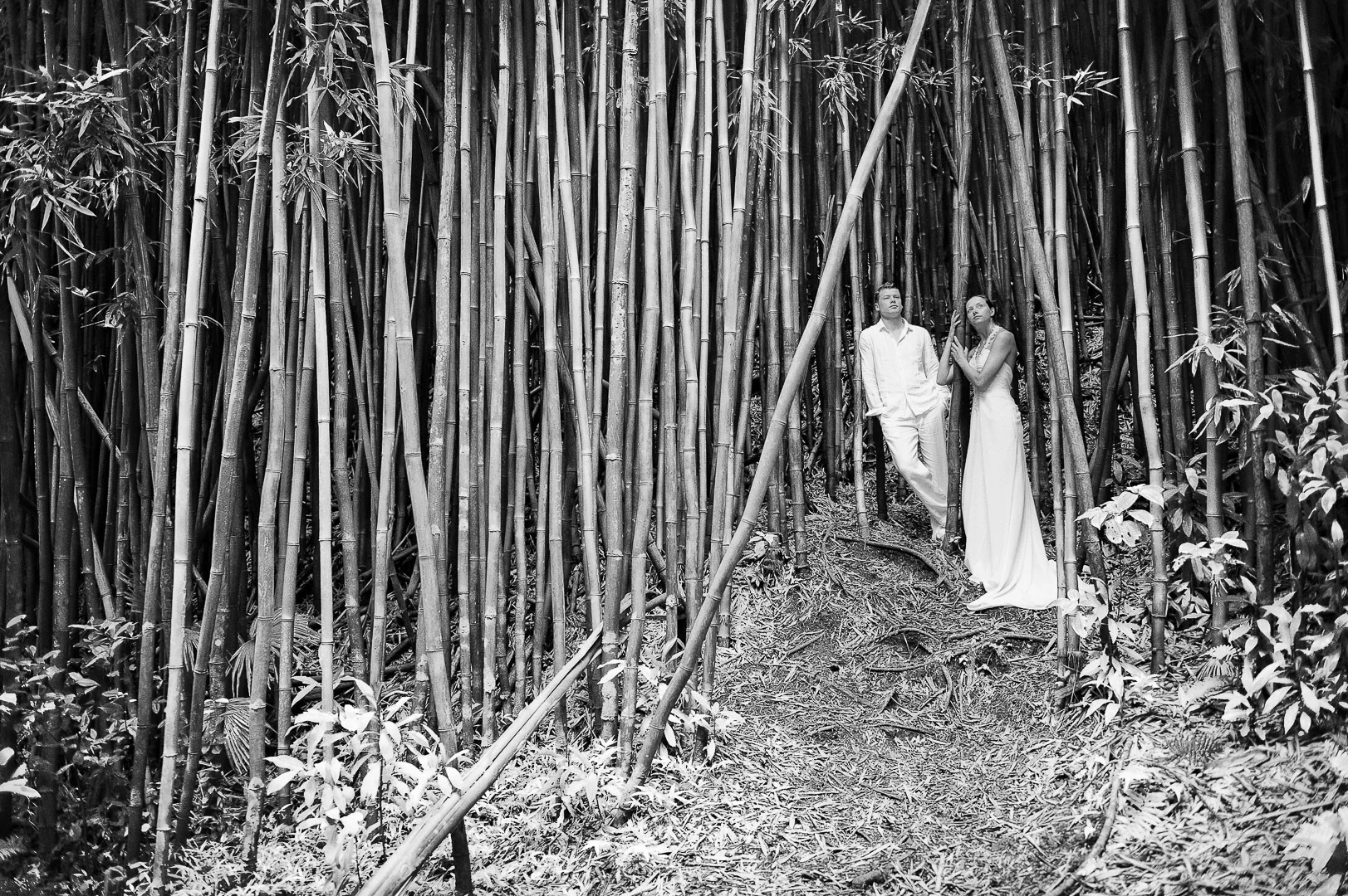 Wedding Celebration, Happy Couple, Gallery View 26 – Wedding Photography
